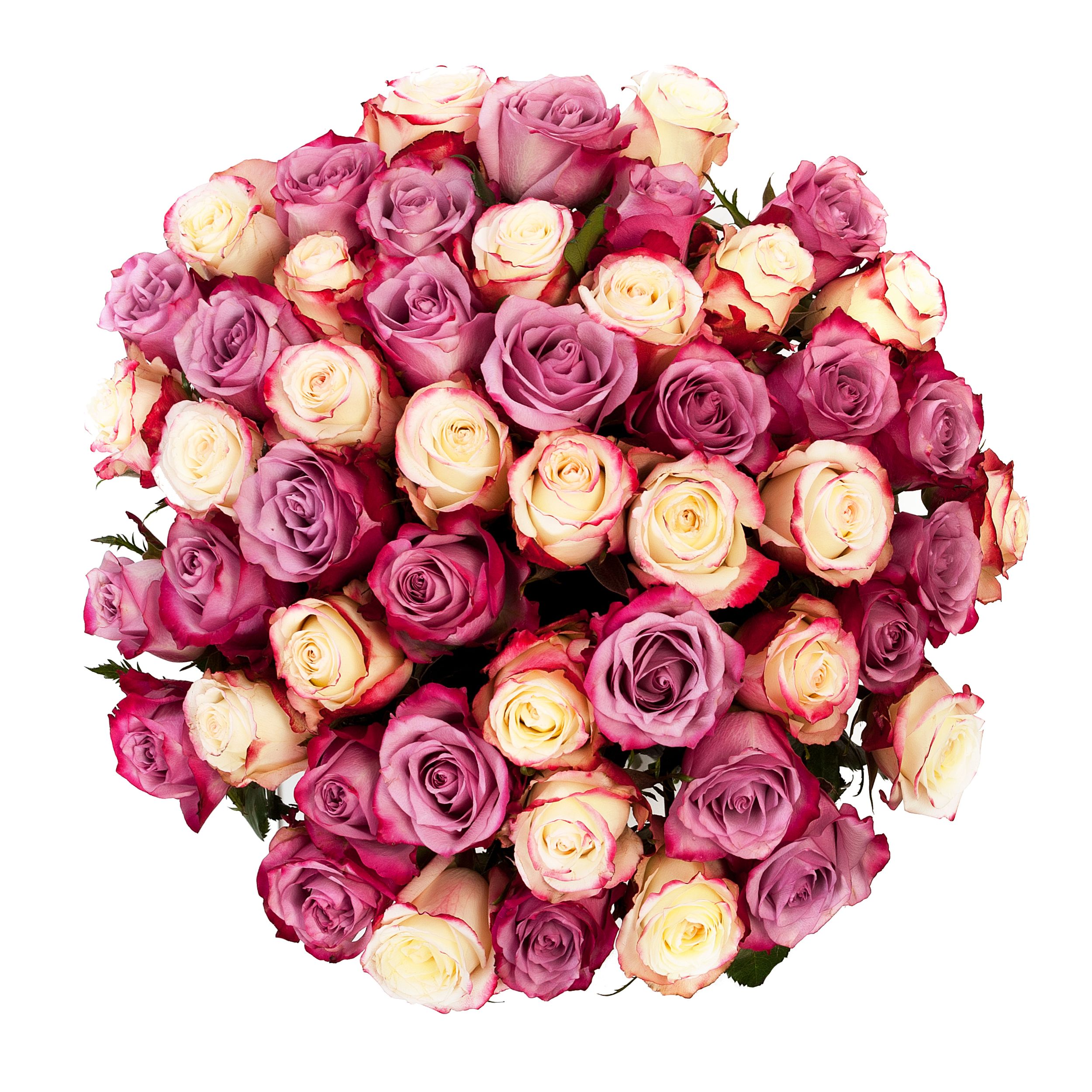 Bouquet 'Dual Pink'